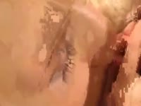 Hot blonde females having sex with dogs